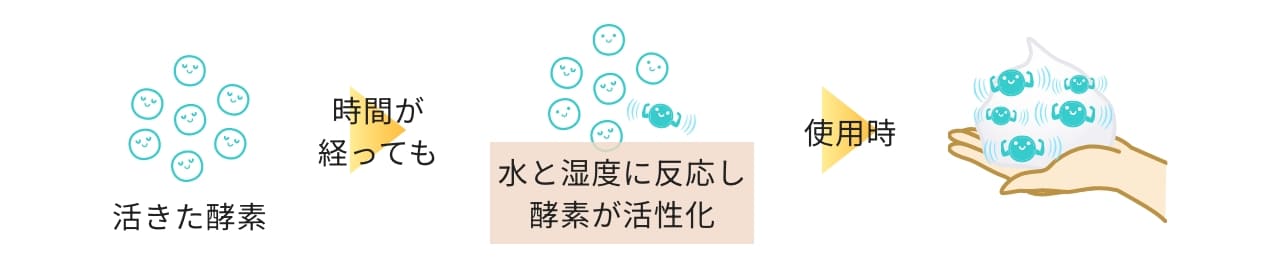 活きた酵素 時間が経っても水と湿度に反応し酵素が活性化