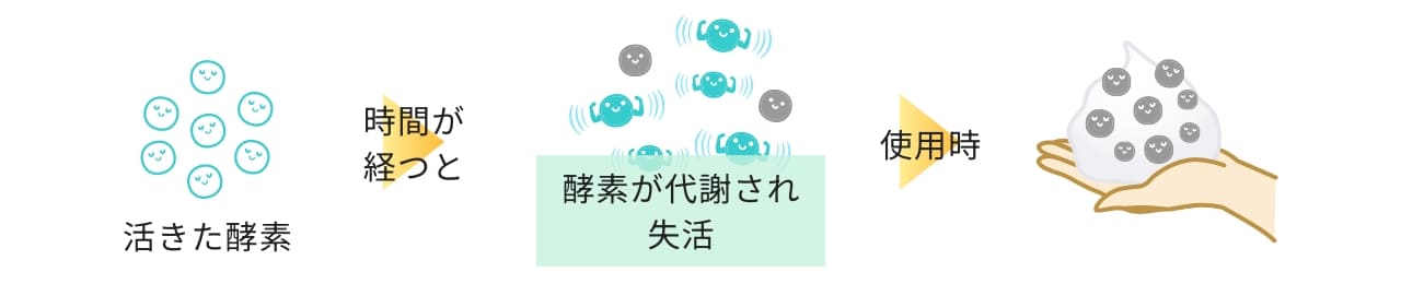 活きた酵素 時間が経つと酵素が代謝され失活